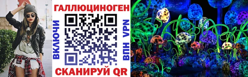 Псилоцибиновые грибы Psilocybine cubensis  Элиста 